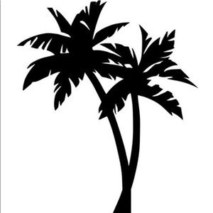 Meet your Posher, Quinn